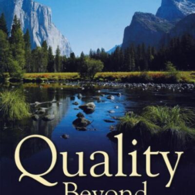 Quality Beyond Six Sigma