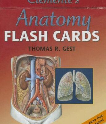 Clemente's Anatomy Flash Cards