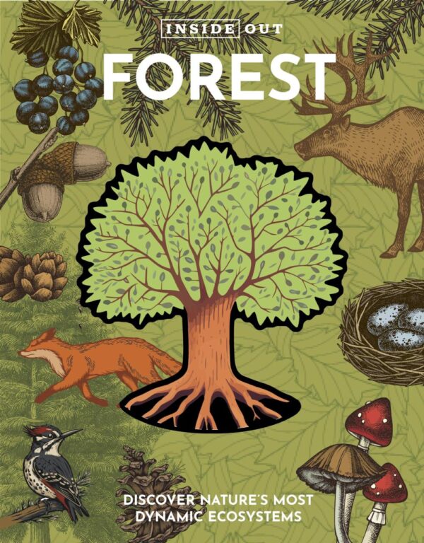 Inside Out Forest