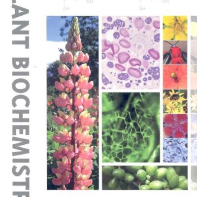 Plant Biochemistry