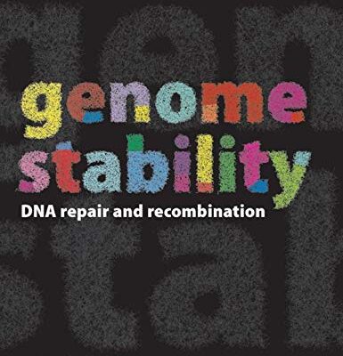 Genome Stability: DNA Repair and Recombination