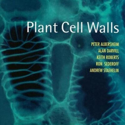 Plant Cell Walls