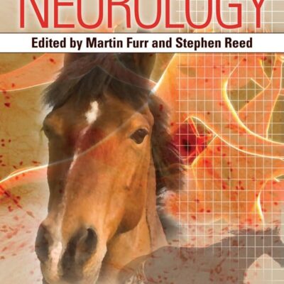 Equine Neurology