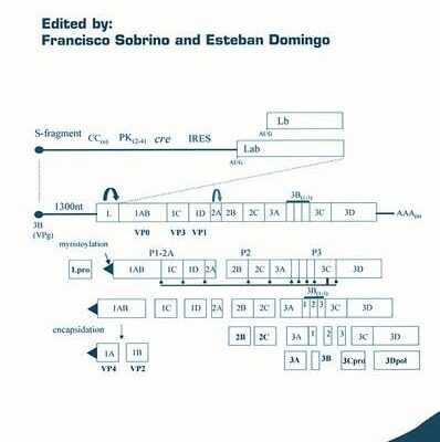 FOOT & MOUTH DISEASE CURRENT PERSPECTIVES (HB 2004)