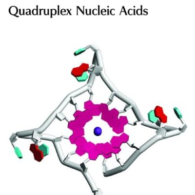 Quadruplex Nucleic Acids (Rsc Biomolecular Sciences)