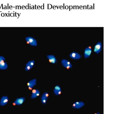 MALE-MEDIATED DEVELOPMENTAL TOXICITY