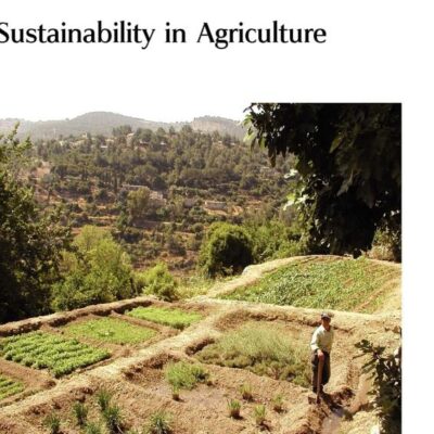 Sustainability in Agriculture: Volume 21 (Issues in Environmental Science and Technology)