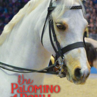 The Palomino Pony on Parade