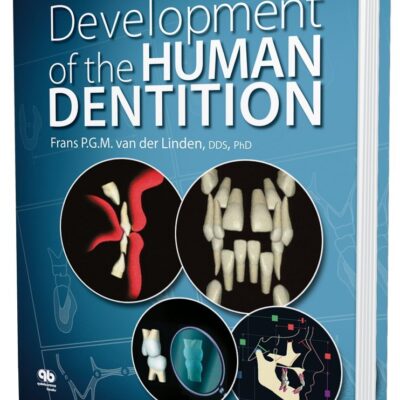Development of the Human Dentition