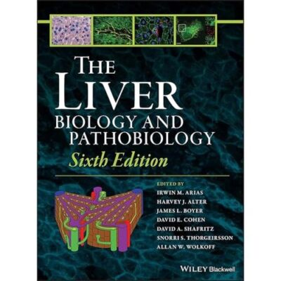 The Liver
