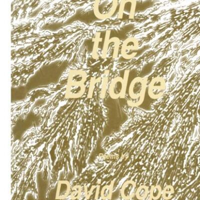 ON THE BRIDGE (VOX HUMANA): Poems