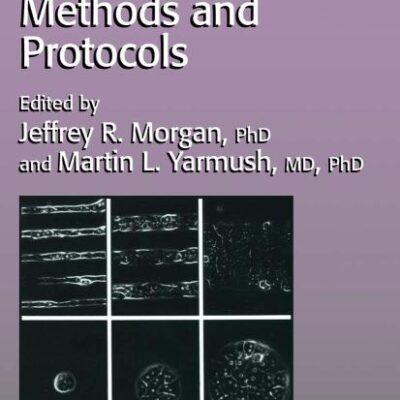 Tissue Engineering: v. 18 (Methods in Molecular Biology)