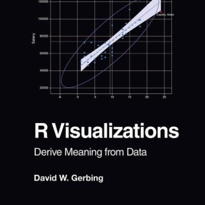 R VISUALIZATIONS DERIVE MEANING FROM DATA