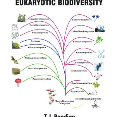 Evolution and Speciation in Fungi and Eukaryotic Biodiversity