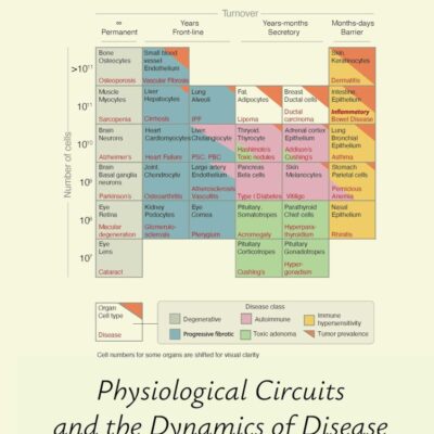 Systems Medicine: Physiological Circuits and the Dynamics of Disease (Chapman & Hall/CRC Computational Biology Series)