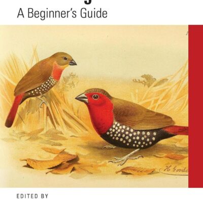 Mastering R: A Beginner's Guide (Mastering Computer Science)