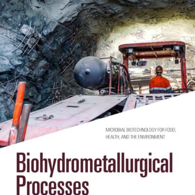 Biohydrometallurgical Processes: Metal Recovery and Remediation (Microbial Biotechnology for Food, Health, and the Environment)
