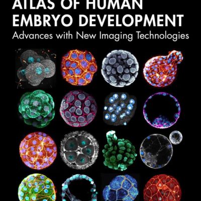 Atlas of Human Embryo Development: Advances with New Imaging Technologies