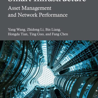 Data Analytics for Smart Infrastructure: Asset Management and Network Performance