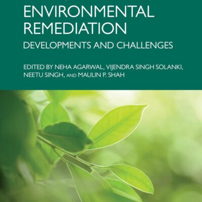 Nanomaterials in Environmental Remediation: Developments and Challenges