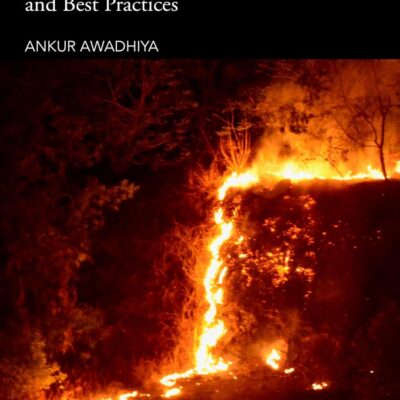 Wildfires: Principles, Management Strategies, and Best Practices