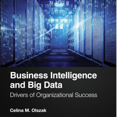 Business Intelligence and Big Data