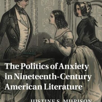 Politics of Anxiety in Nineteenth-Century American Literature: 162 (Cambridge Studies in American Literature and Culture, Series Number 162)