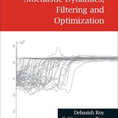 STOCHASTIC DYNAMICS, FILTERING AND OPTIMIZATION