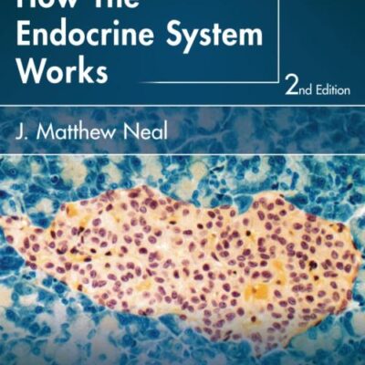 How The Endocrine System Works 2Ed (Pb 2016) (The How it Works Series)