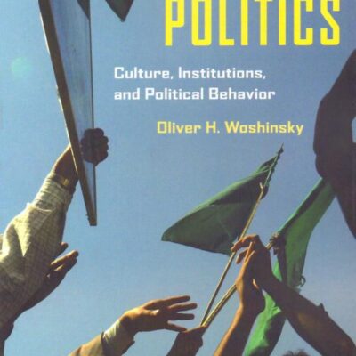 Explaining Politics Culture, Institutions, and Political Behavior