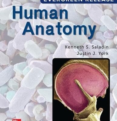 Human Anatomy: 2024 Release ISE