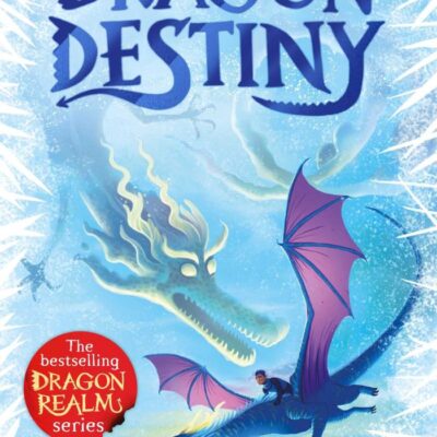 Dragon Destiny: Delivering Customer Insight