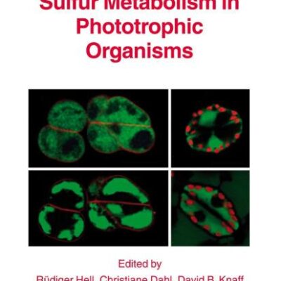 SULFUR METABOLISM IN PHOTOTROPHIC ORGANISMS: 27 (Advances in Photosynthesis and Respiration)