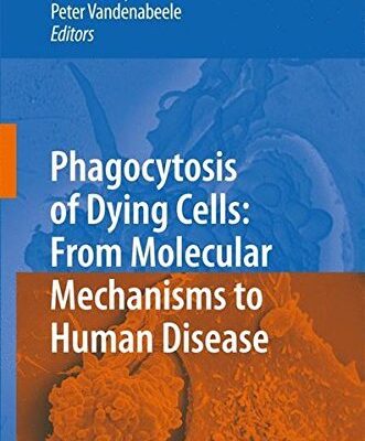 Phagocytosis of Dying Cells: From Molecular Mechanisms to Human Diseases