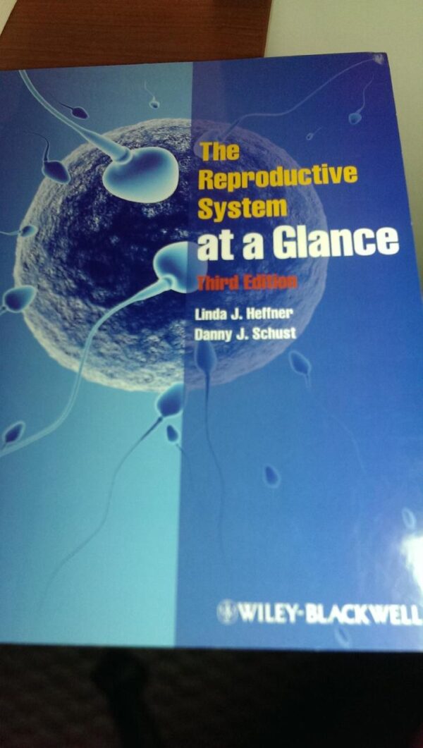 The Reproductive System at a Glance