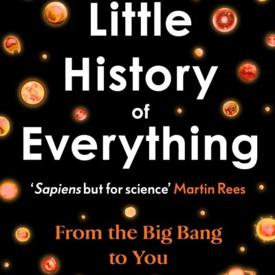 A Little History of Everything: From the Big Bang to You