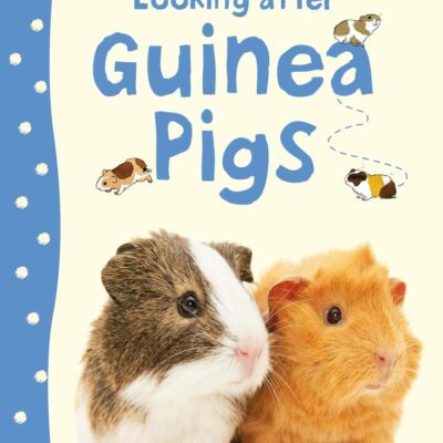 Looking after Guinea Pigs (Pet Guides)