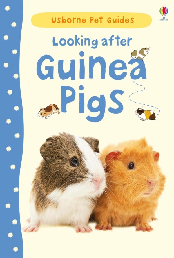 Looking after Guinea Pigs (Pet Guides)