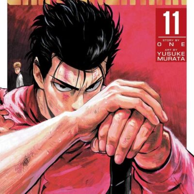 One-Punch Man 11