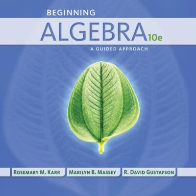 BEGINNING ALGEBRA A GUIDED APPROACH