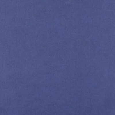 EXTENDING PROFESSIONAL PRACTICE IN THE EARLY YEARS