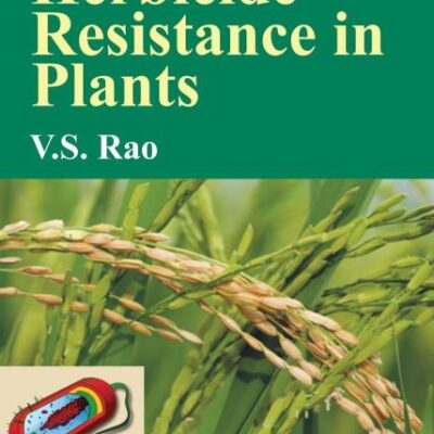 TRANSGENIC HERBICIDE RESISTANCE IN PLANTS