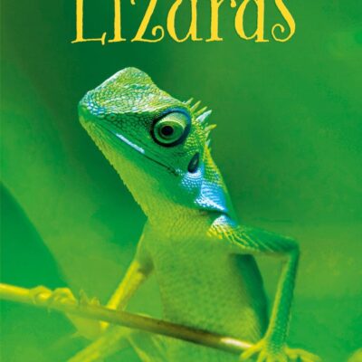 Lizards