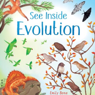 See Inside Evolution