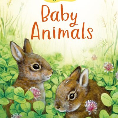 Baby Animals (Beginners)