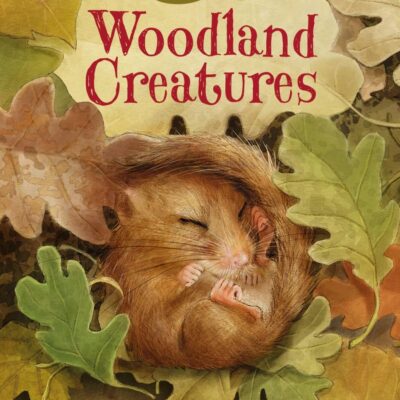 Woodland Creatures