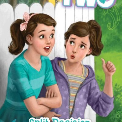 Split Decision (Volume 12) (It Takes Two)