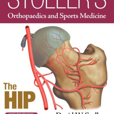 STOLLERS ORTHOPAEDICS AND SPORTS MEDICINE: The Hip