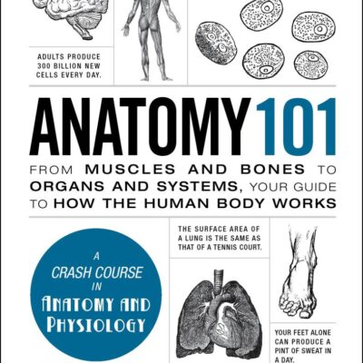 Anatomy 101