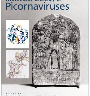 Molecular Biology of Picornaviruses